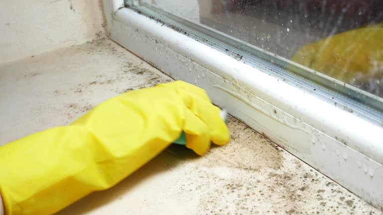 Mold Remediation for Vacation Homes in Old Orchard, PA